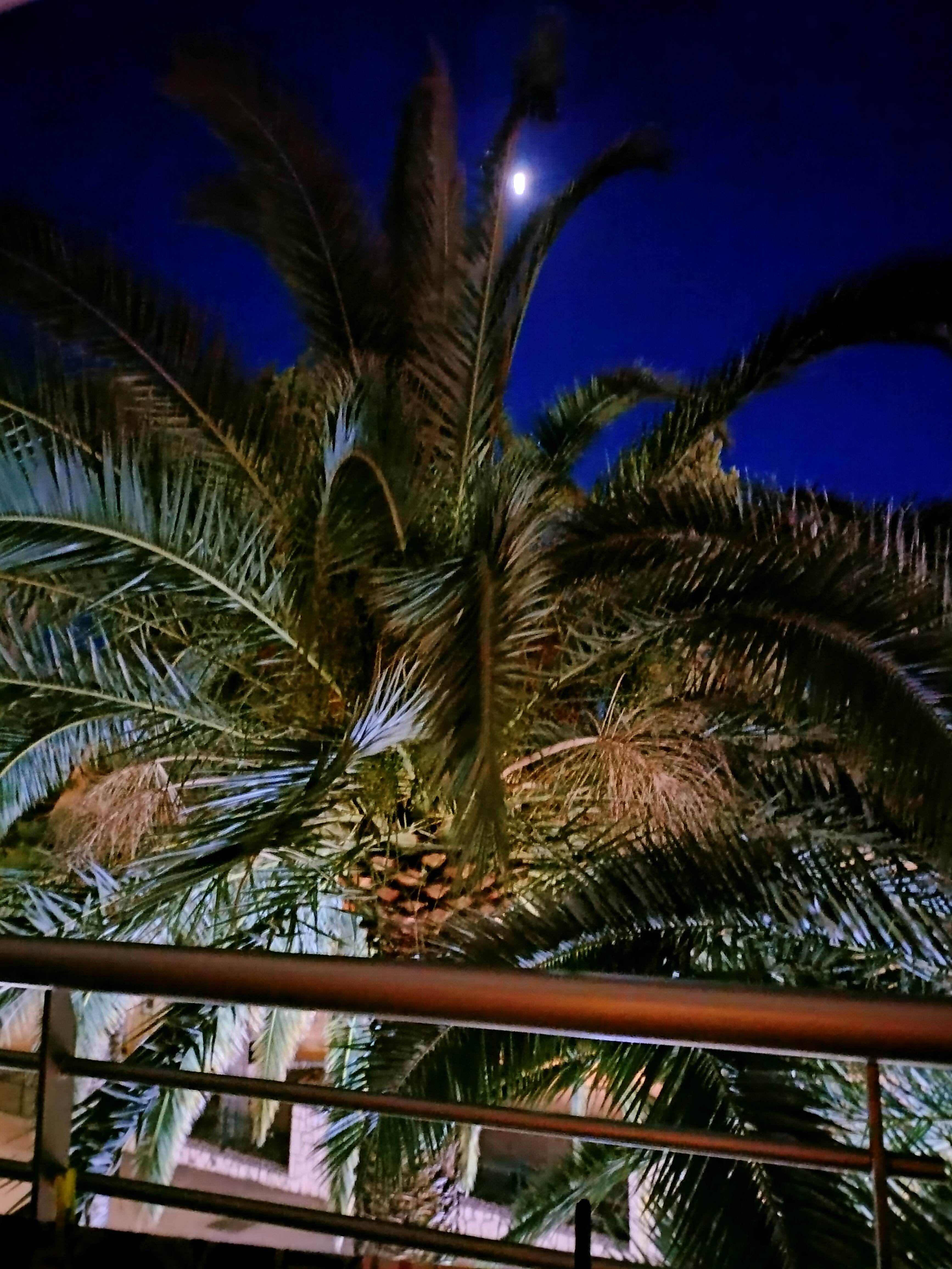IMG20240615214225