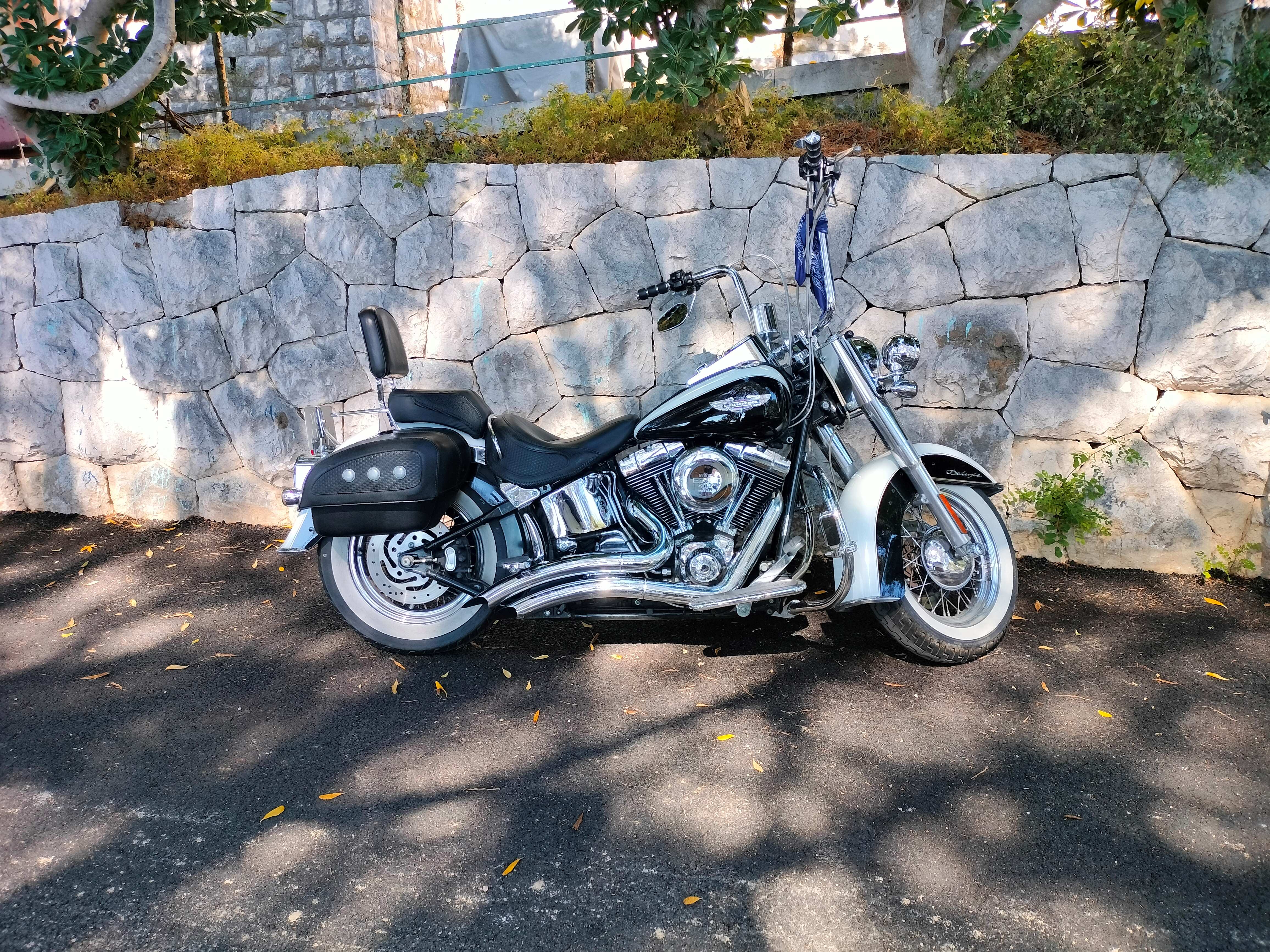 IMG20240617155314