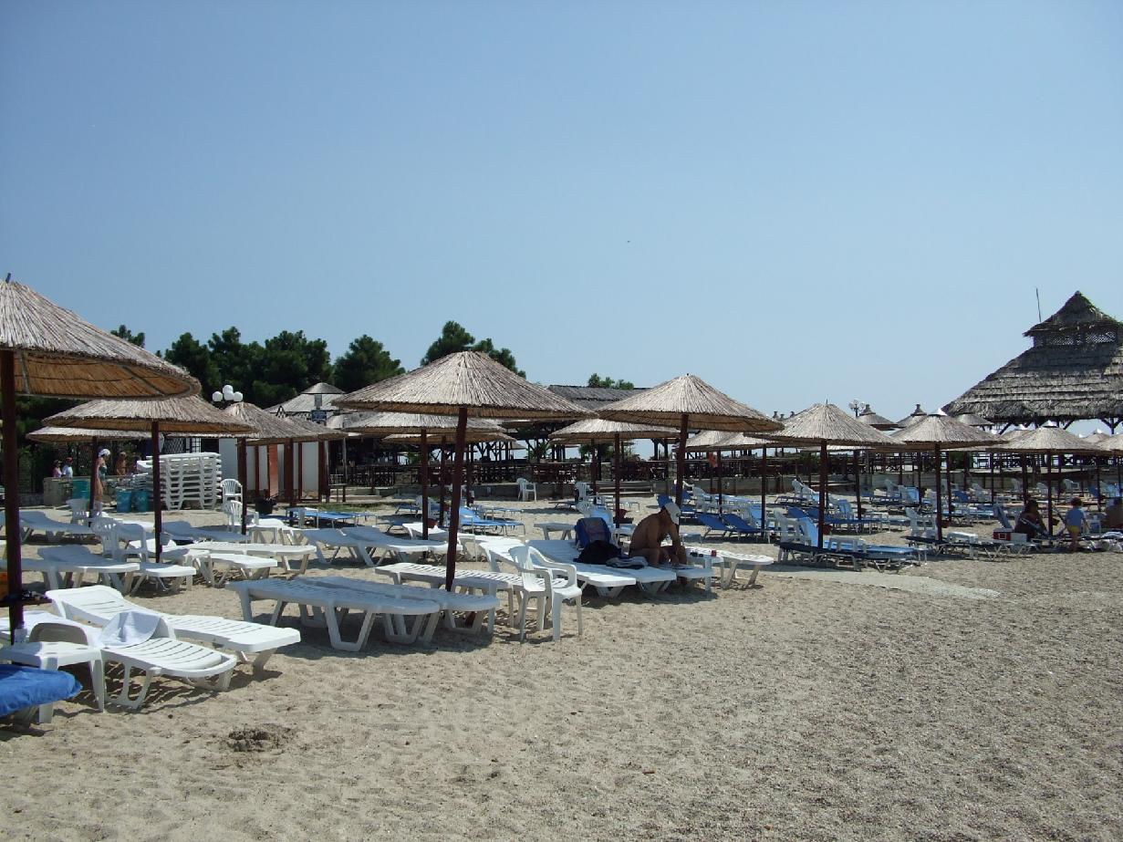 stáhnout (52).jfif